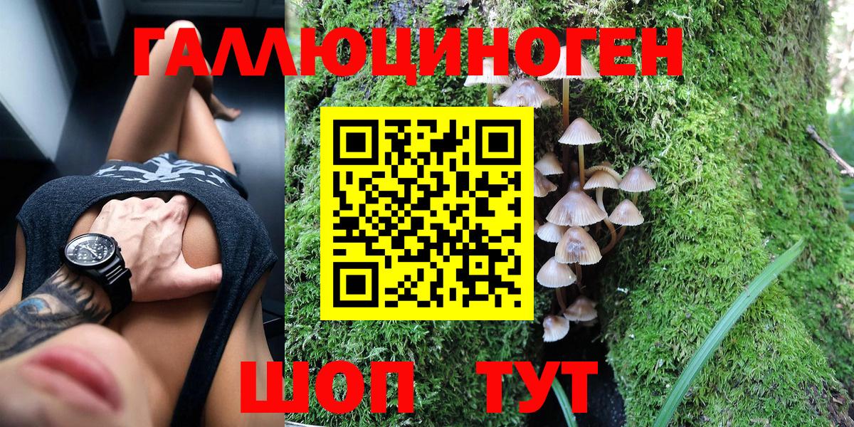 Галлюциногенные грибы прущие грибы  где купить   Прохладный  Вход с VPN 