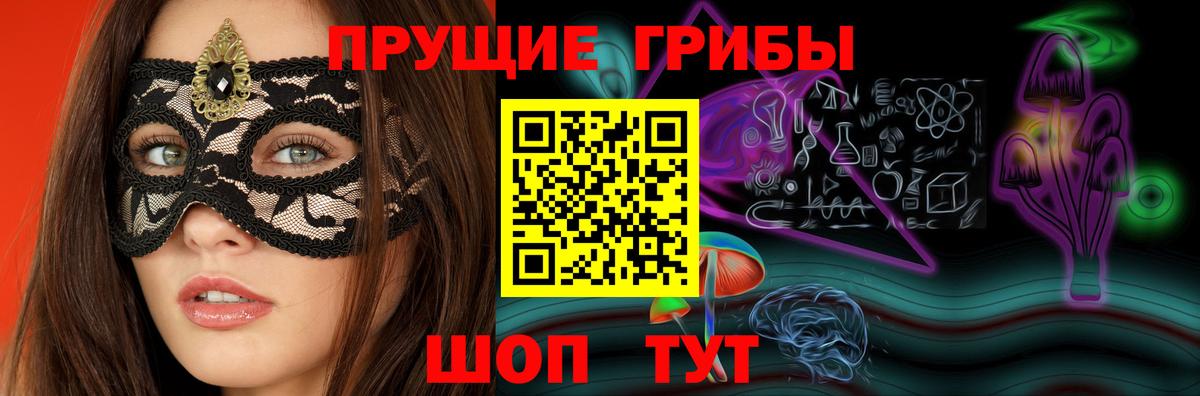 Псилоцибиновые грибы Psilocybe Прохладный